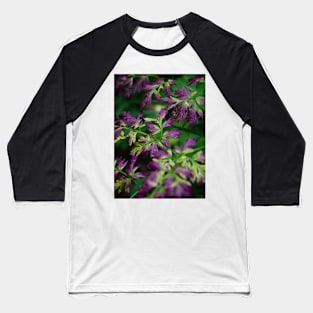 Autumnal purple leaves in the forest Baseball T-Shirt